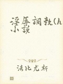 淫辱调教(h)小说