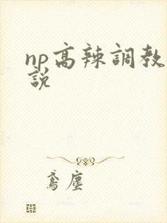 np高辣调教小说