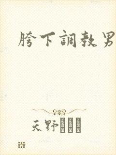 胯下调教男奴