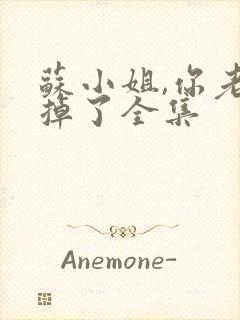 苏小姐,你老公掉了全集