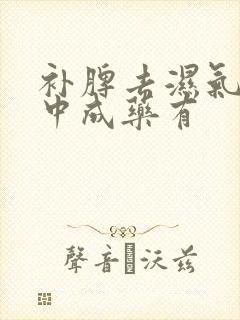 补脾去湿气的的中成药有