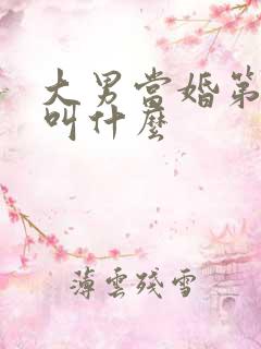 大男当婚第二部叫什么