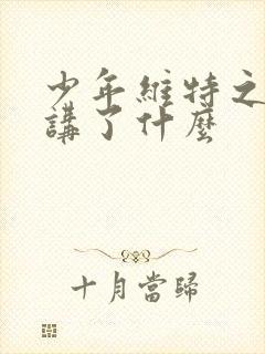 少年维特之烦恼讲了什么