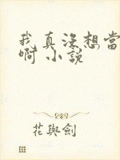 我真没想当皇帝啊 小说