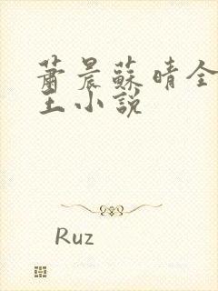 萧晨苏晴全能兵王小说