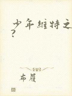 少年维特之烦恼?