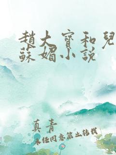 赵大宝和儿媳妇苏媚小说