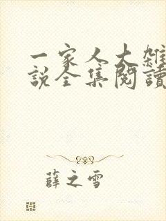 一家人大杂烩小说全集阅读免费