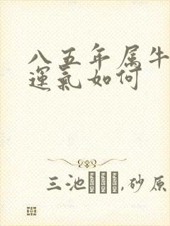 八五年属牛今年运气如何