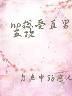 np总受直男受五攻