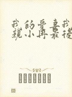 我的爱妻我的父亲小冉最后结局