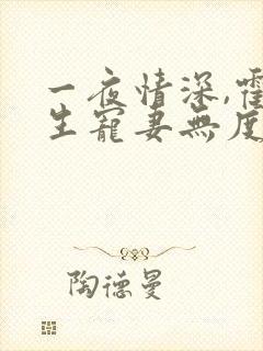 一夜情深,霍先生宠妻无度小说完整