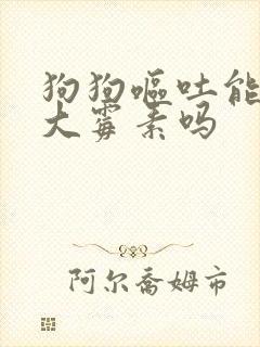 狗狗呕吐能用庆大霉素吗