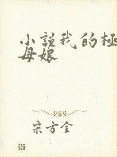 小说我的极品丈母娘