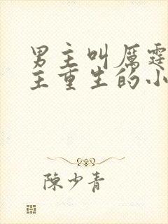 男主叫厉霆骁女主重生的小说