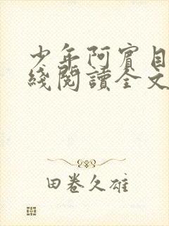 少年阿宾目录在线阅读全文