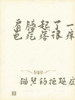 肩膀起了一片红色疙瘩很痒