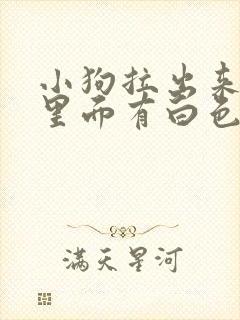 小狗拉出来的屎里面有白色的虫子