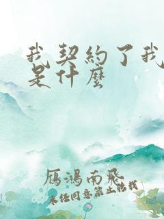 我契约了我自己是什么