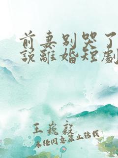 前妻别哭了是你说离婚短剧