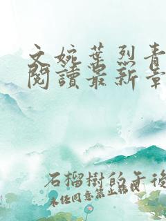 文婉叶烈青免费阅读最新章节