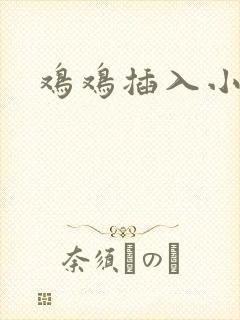 鸡鸡插入小逼逼