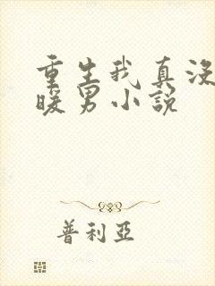 重生我真没想当暖男小说