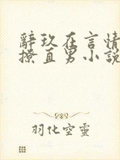 辞玖在言情文里撩直男小说