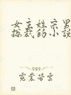 女主姓宋男主是总裁的小说