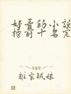 好看的小说排行榜前十名完结