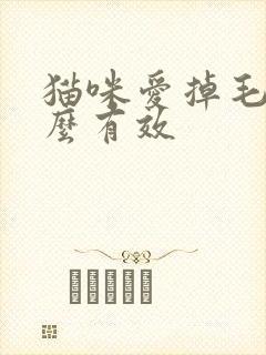 猫咪爱掉毛吃什么有效