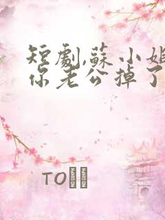 短剧,苏小姐,你老公掉了