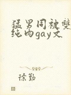 猛男同被双龙h纯肉gay文
