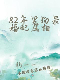 82年男狗最佳婚配属相