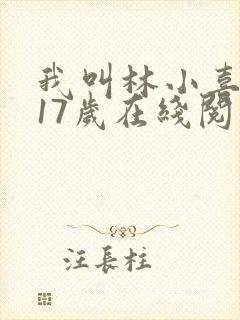 我叫林小喜今年17岁在线阅读