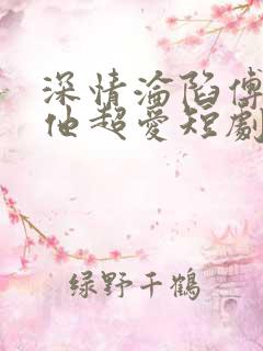 深情沦陷傅先生他超爱短剧演员