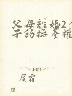 父母离婚2个孩子的抚养权怎么判定