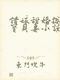 错嫁甜婚总裁的宝贝妻小说完整版