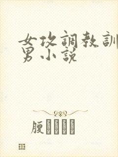 女攻调教训诫多男小说