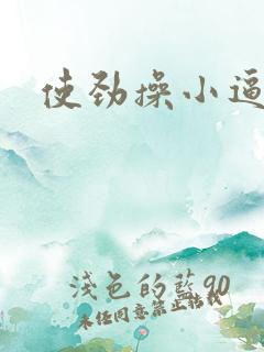 使劲操小逼小说