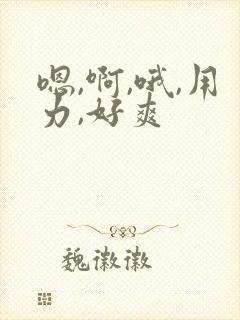 嗯,啊,哦,用力,好爽