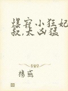 爆宠小狂妃:皇叔,太凶猛