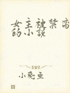 女主被禁脔调教的小说