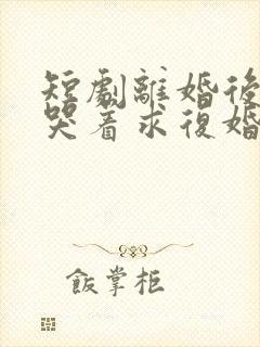 短剧离婚后前夫哭着求复婚完整版