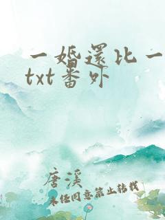 一婚还比一婚高txt番外