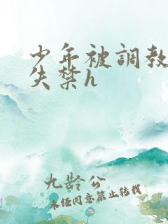 少年被调教爽到失禁h