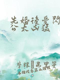 先婚后爱闪婚老公太凶猛