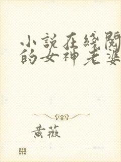 小说在线阅读我的女神老婆