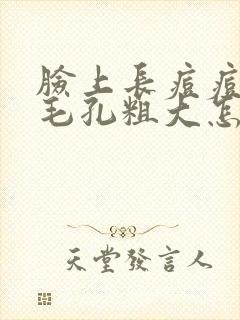 脸上长痘痘还有毛孔粗大怎么办