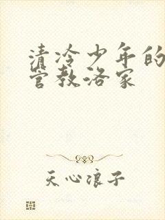 清冷少年的严厉管教洛家